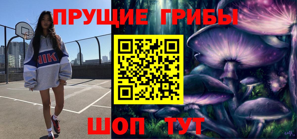 Псилоцибиновые грибы Cubensis Малгобек