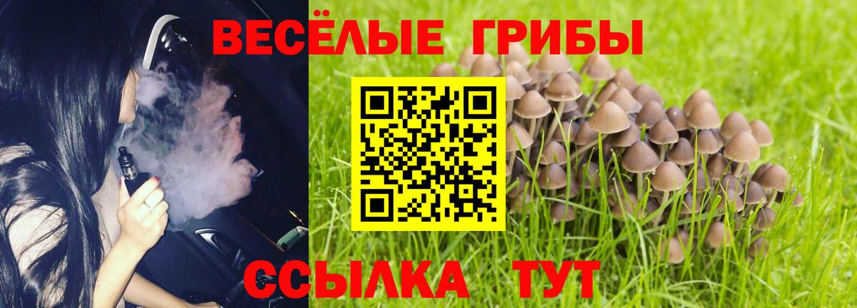 Псилоцибиновые грибы мицелий  Вход с VPN  Малгобек 